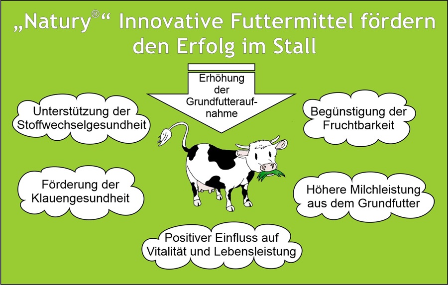 Innovative Futtermittel fördern den Erfolg im Stall